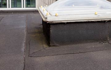 disadvantages of Lower Burgate flat roofs