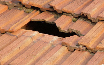 roof repair Lower Burgate, Hampshire